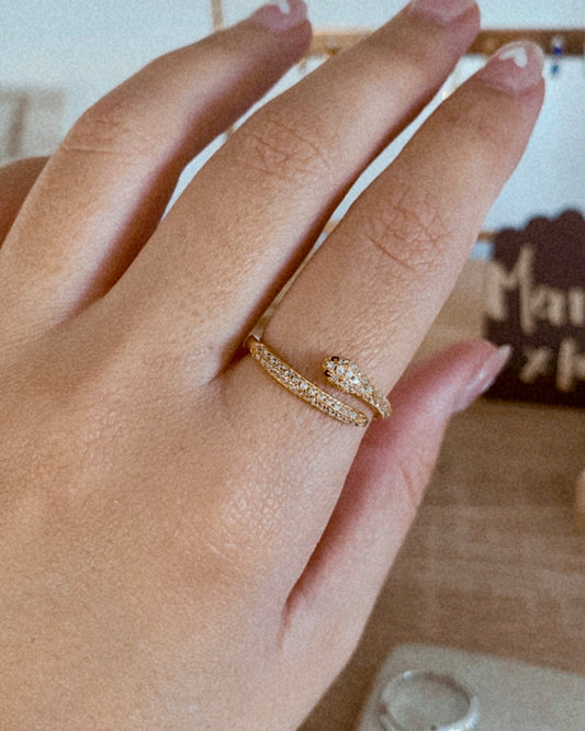 Anillo Snake